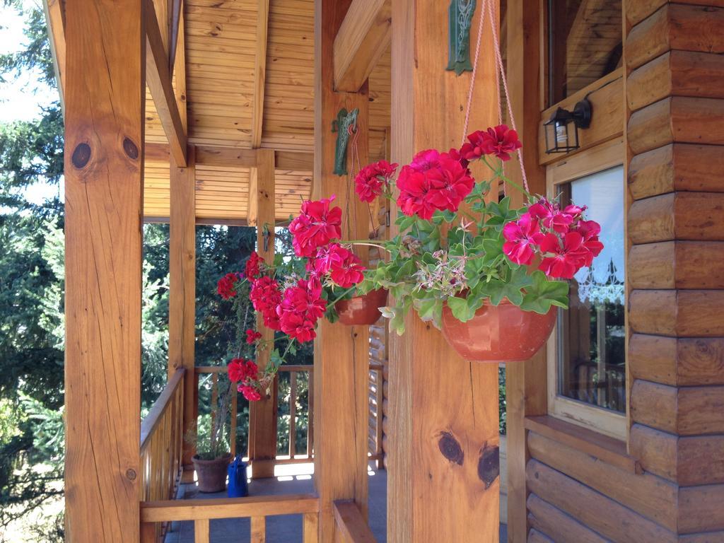 Hosteria Baerenhaus San Martín de los Andes Buitenkant foto